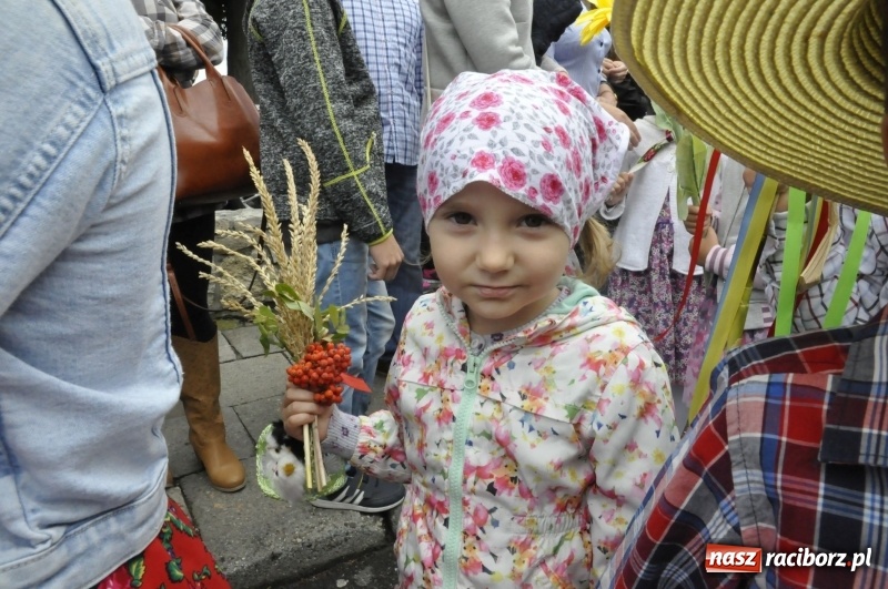 Zdjęcie w galerii na portalu naszraciborz.pl: Powiatowe Dożynki KRZANOWICE 2018  wiadomości z regionu