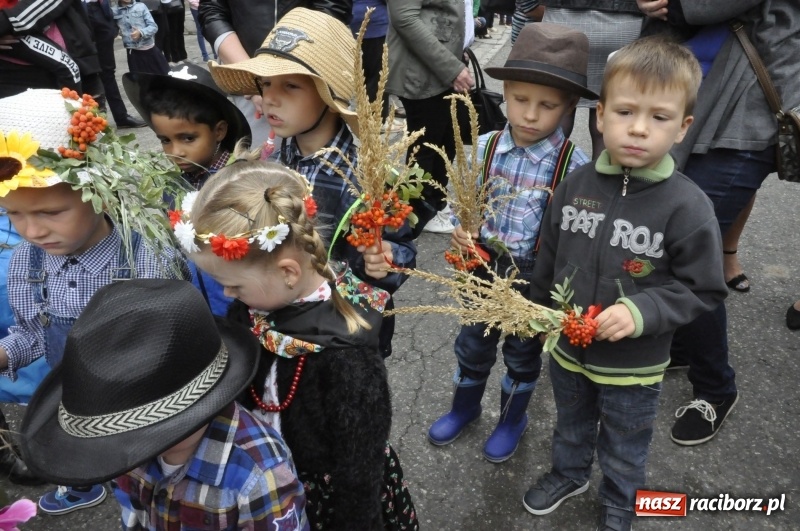 Zdjęcie w galerii na portalu naszraciborz.pl: Powiatowe Dożynki KRZANOWICE 2018  wiadomości z regionu