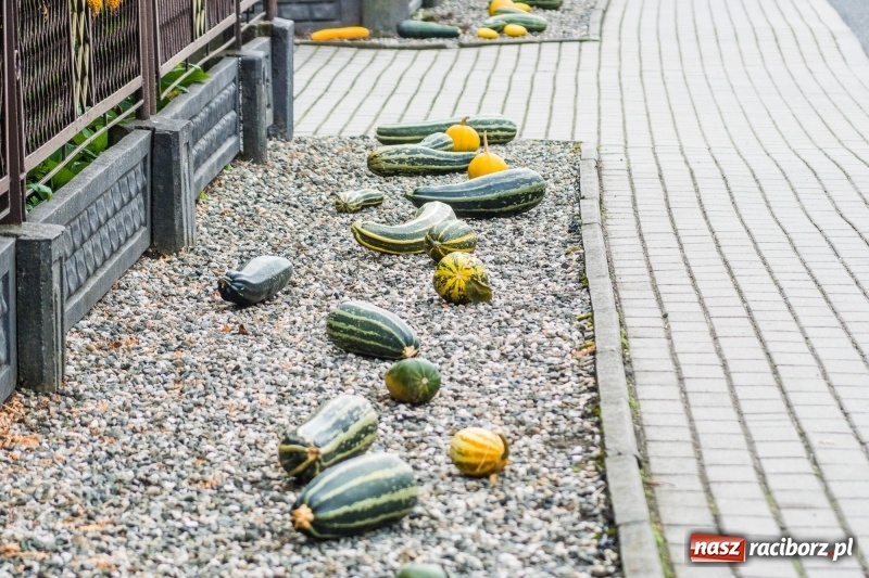 Zdjęcie w galerii na portalu naszraciborz.pl: Dożynki w Krowiarkach. Dziękczynnie i rekreacyjnie wiadomości z regionu