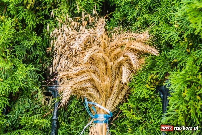Zdjęcie w galerii na portalu naszraciborz.pl: Dożynki w Krowiarkach. Dziękczynnie i rekreacyjnie wiadomości z regionu