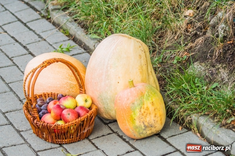 Zdjęcie w galerii na portalu naszraciborz.pl: Dożynki w Krowiarkach. Dziękczynnie i rekreacyjnie wiadomości z regionu