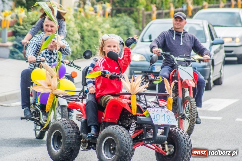 Zdjęcie w galerii na portalu naszraciborz.pl: Dożynki w Krowiarkach. Dziękczynnie i rekreacyjnie wiadomości z regionu