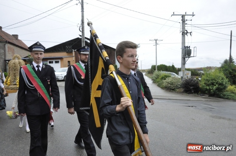Zdjęcie w galerii na portalu naszraciborz.pl: Dożynki w Żerdzinach. Po proboszcza wysłali bryczkę do Cyprzanowa wiadomości z regionu