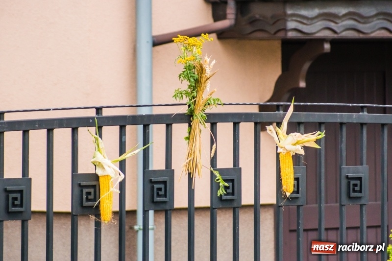 Zdjęcie w galerii na portalu naszraciborz.pl: Odjazdowe Omy i rolnik Abdul na dożynkach w Rudniku wiadomości z regionu