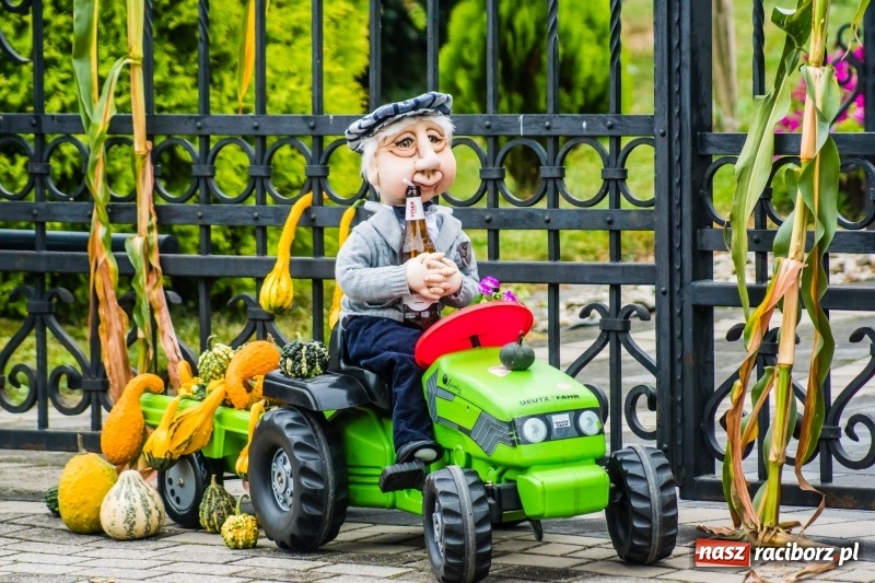 Zdjęcie w galerii na portalu naszraciborz.pl: Odjazdowe Omy i rolnik Abdul na dożynkach w Rudniku wiadomości z regionu