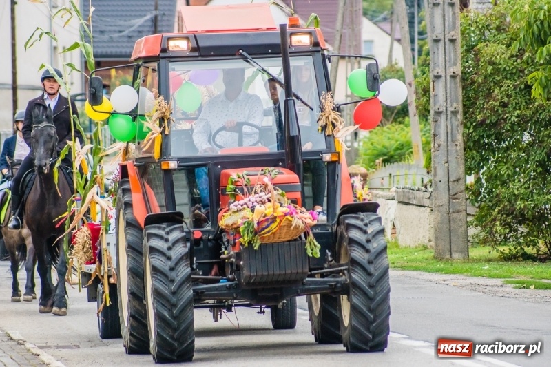 Zdjęcie w galerii na portalu naszraciborz.pl: Odjazdowe Omy i rolnik Abdul na dożynkach w Rudniku wiadomości z regionu