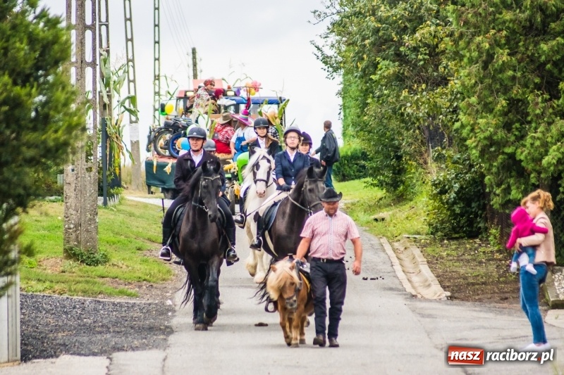 Zdjęcie w galerii na portalu naszraciborz.pl: Odjazdowe Omy i rolnik Abdul na dożynkach w Rudniku wiadomości z regionu