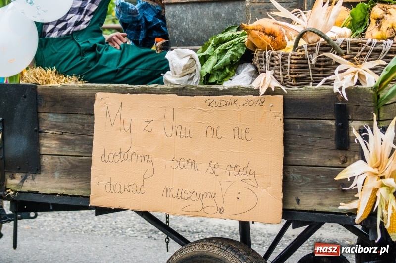 Zdjęcie w galerii na portalu naszraciborz.pl: Odjazdowe Omy i rolnik Abdul na dożynkach w Rudniku wiadomości z regionu