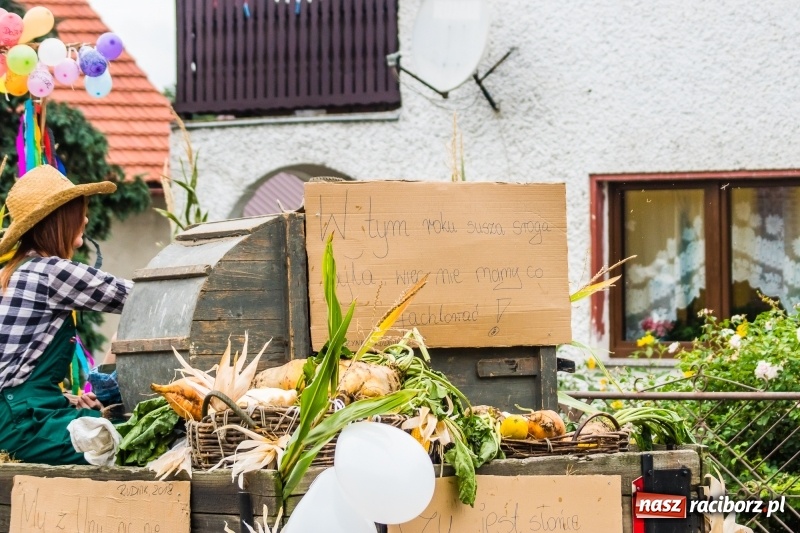 Zdjęcie w galerii na portalu naszraciborz.pl: Odjazdowe Omy i rolnik Abdul na dożynkach w Rudniku wiadomości z regionu