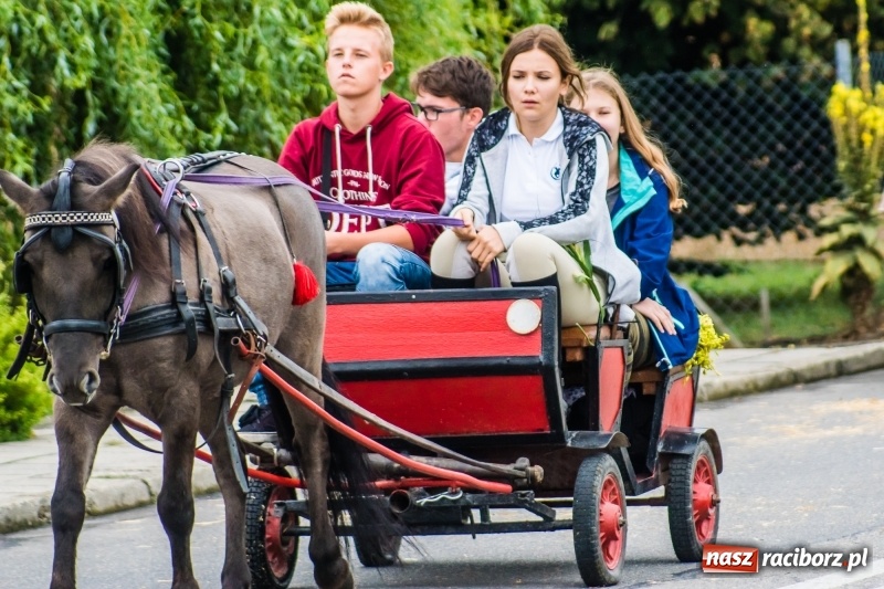 Zdjęcie w galerii na portalu naszraciborz.pl: Odjazdowe Omy i rolnik Abdul na dożynkach w Rudniku wiadomości z regionu