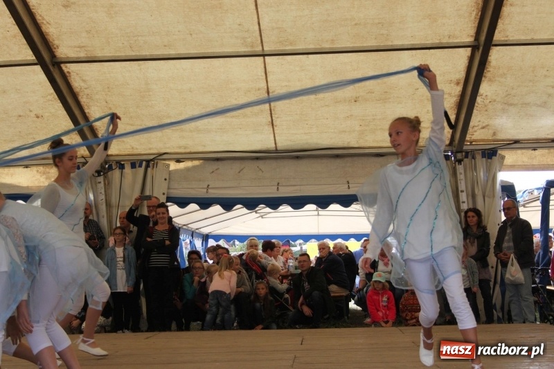 Zdjęcie w galerii na portalu naszraciborz.pl: Krzanowickie Omy i Opy, Zbóje i Mirek Jędrowski zabawiali publiczność na dożynkach powiatowych w Krzanowicach wiadomości z regionu