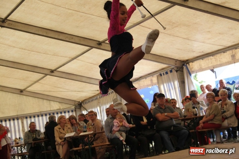 Zdjęcie w galerii na portalu naszraciborz.pl: Krzanowickie Omy i Opy, Zbóje i Mirek Jędrowski zabawiali publiczność na dożynkach powiatowych w Krzanowicach wiadomości z regionu