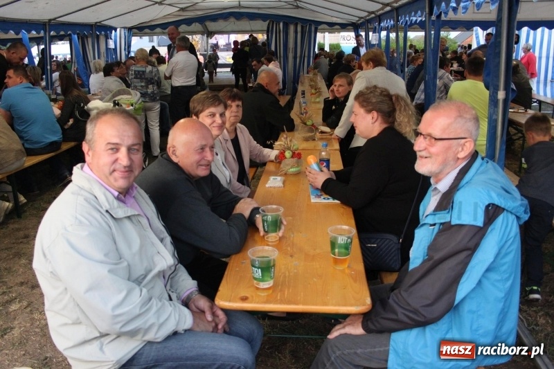 Zdjęcie w galerii na portalu naszraciborz.pl: Krzanowickie Omy i Opy, Zbóje i Mirek Jędrowski zabawiali publiczność na dożynkach powiatowych w Krzanowicach wiadomości z regionu