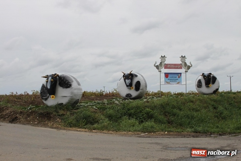 Zdjęcie w galerii na portalu naszraciborz.pl: Krzanowickie Omy i Opy, Zbóje i Mirek Jędrowski zabawiali publiczność na dożynkach powiatowych w Krzanowicach wiadomości z regionu