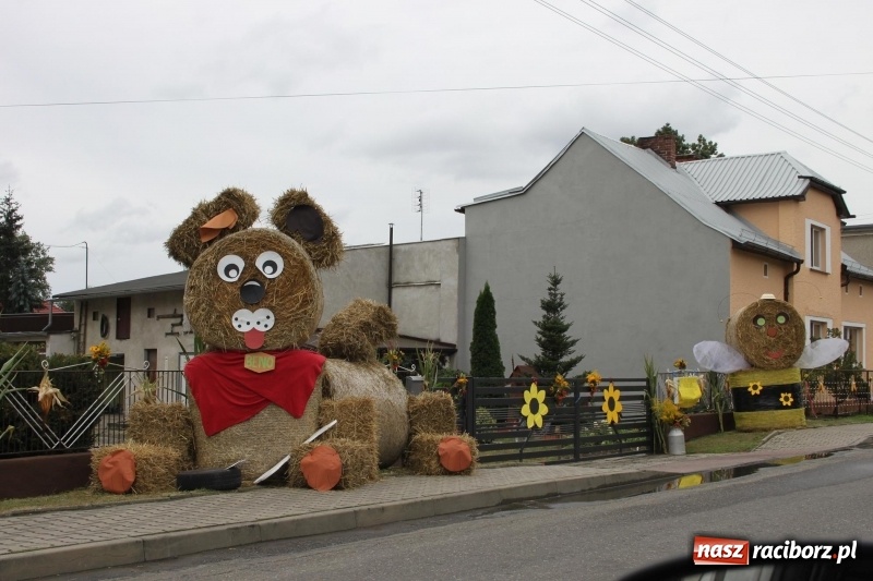 Zdjęcie w galerii na portalu naszraciborz.pl: Krzanowickie Omy i Opy, Zbóje i Mirek Jędrowski zabawiali publiczność na dożynkach powiatowych w Krzanowicach wiadomości z regionu