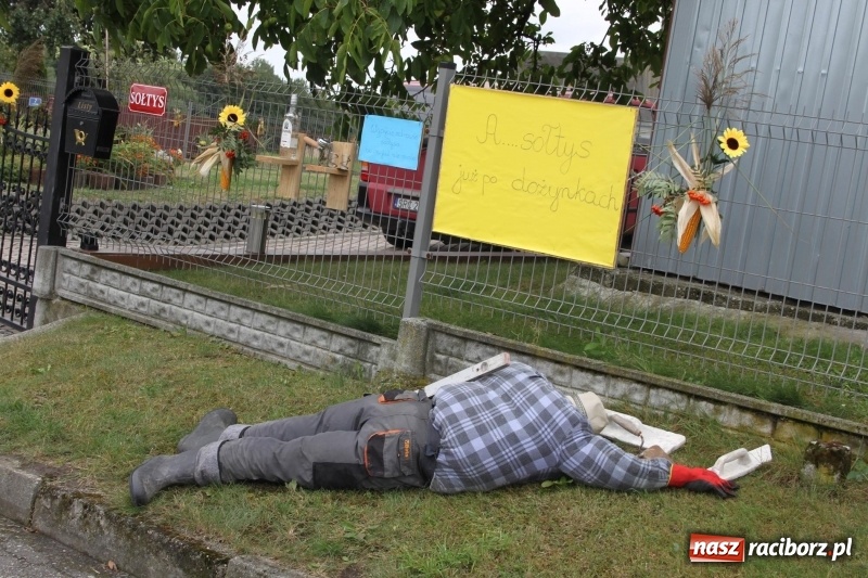 Zdjęcie w galerii na portalu naszraciborz.pl: Krzanowickie Omy i Opy, Zbóje i Mirek Jędrowski zabawiali publiczność na dożynkach powiatowych w Krzanowicach wiadomości z regionu