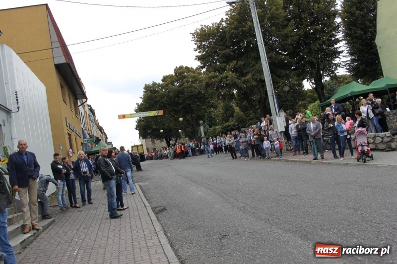 Zdjęcie w galerii na portalu naszraciborz.pl: Krzanowickie Omy i Opy, Zbóje i Mirek Jędrowski zabawiali publiczność na dożynkach powiatowych w Krzanowicach wiadomości z regionu