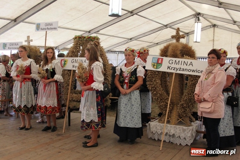 Zdjęcie w galerii na portalu naszraciborz.pl: Krzanowickie Omy i Opy, Zbóje i Mirek Jędrowski zabawiali publiczność na dożynkach powiatowych w Krzanowicach wiadomości z regionu