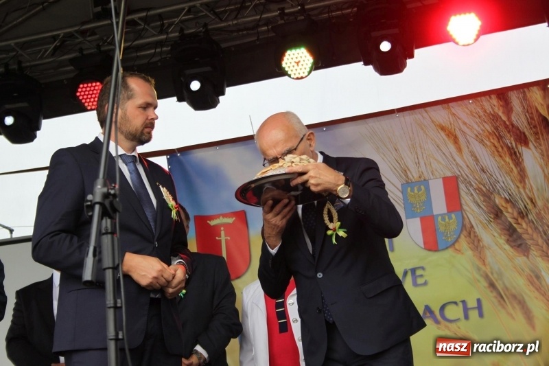 Zdjęcie w galerii na portalu naszraciborz.pl: Krzanowickie Omy i Opy, Zbóje i Mirek Jędrowski zabawiali publiczność na dożynkach powiatowych w Krzanowicach wiadomości z regionu