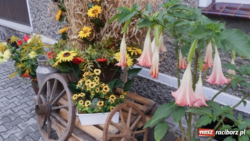 Zdjęcie w galerii na portalu naszraciborz.pl: Najpiękniejsze zagrody dożynkowe w Krzanowicach  wiadomości z regionu
