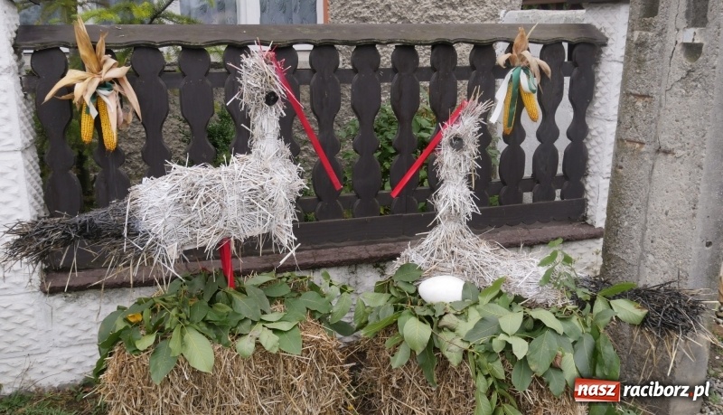 Zdjęcie w galerii na portalu naszraciborz.pl: Najpiękniejsze zagrody dożynkowe w Krzanowicach  wiadomości z regionu
