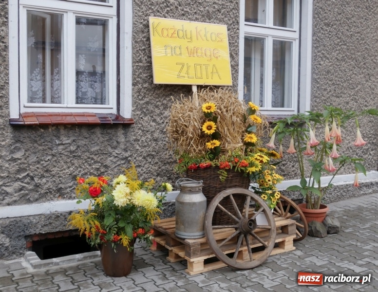 Zdjęcie w galerii na portalu naszraciborz.pl: Najpiękniejsze zagrody dożynkowe w Krzanowicach  wiadomości z regionu