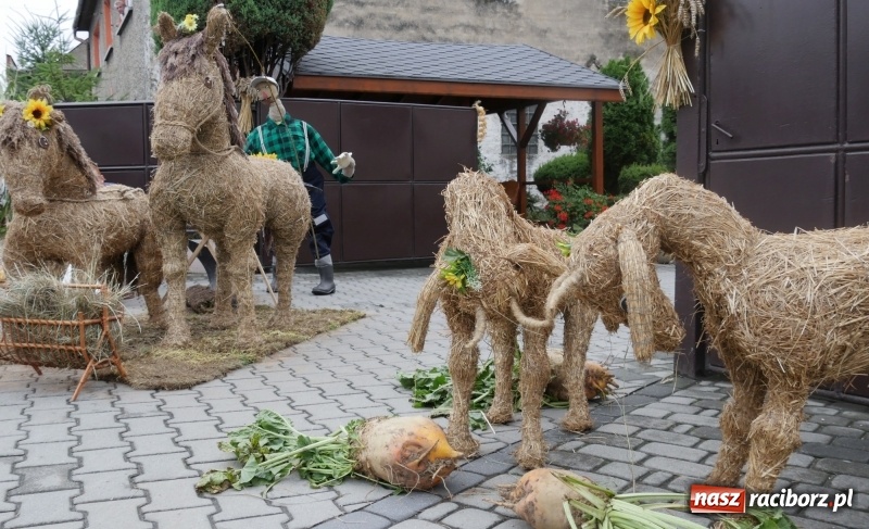 Zdjęcie w galerii na portalu naszraciborz.pl: Najpiękniejsze zagrody dożynkowe w Krzanowicach  wiadomości z regionu