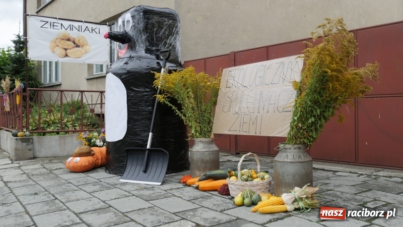 Zdjęcie w galerii na portalu naszraciborz.pl: Najpiękniejsze zagrody dożynkowe w Krzanowicach  wiadomości z regionu