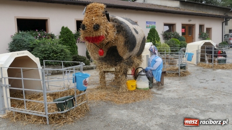 Zdjęcie w galerii na portalu naszraciborz.pl: Najpiękniejsze zagrody dożynkowe w Krzanowicach  wiadomości z regionu