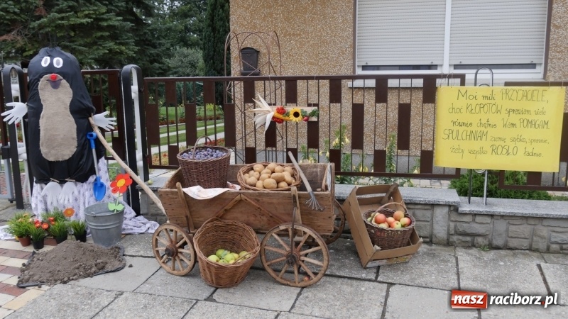 Zdjęcie w galerii na portalu naszraciborz.pl: Najpiękniejsze zagrody dożynkowe w Krzanowicach  wiadomości z regionu