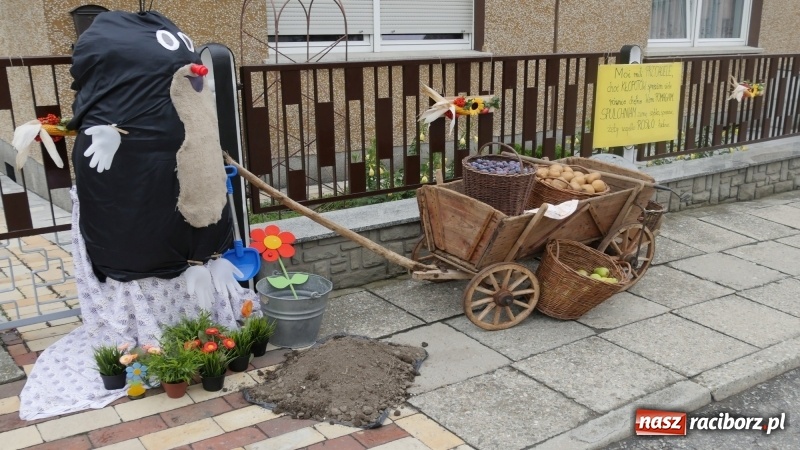 Zdjęcie w galerii na portalu naszraciborz.pl: Najpiękniejsze zagrody dożynkowe w Krzanowicach  wiadomości z regionu