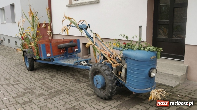 Zdjęcie w galerii na portalu naszraciborz.pl: Najpiękniejsze zagrody dożynkowe w Krzanowicach  wiadomości z regionu