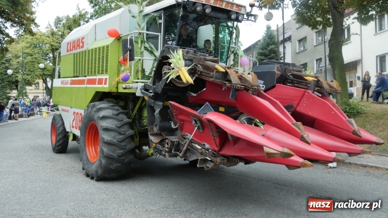 Zdjęcie w galerii na portalu naszraciborz.pl: Najpiękniejsze zagrody dożynkowe w Krzanowicach  wiadomości z regionu
