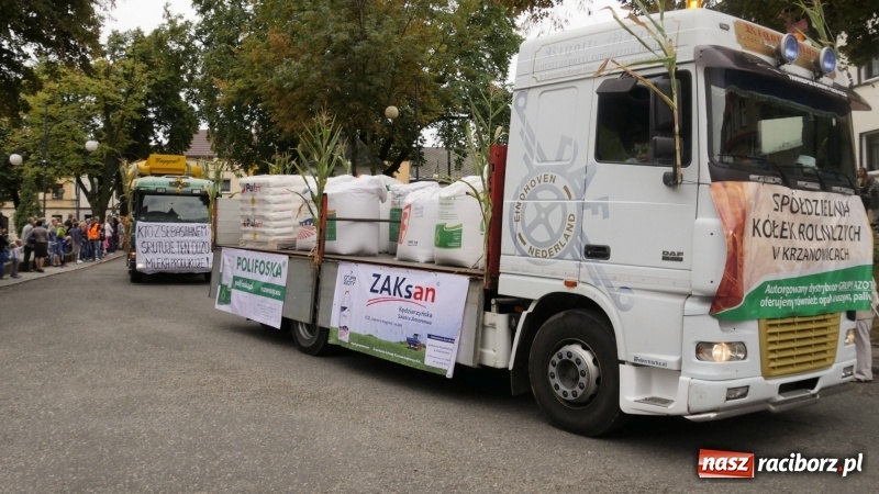 Zdjęcie w galerii na portalu naszraciborz.pl: Najpiękniejsze zagrody dożynkowe w Krzanowicach  wiadomości z regionu