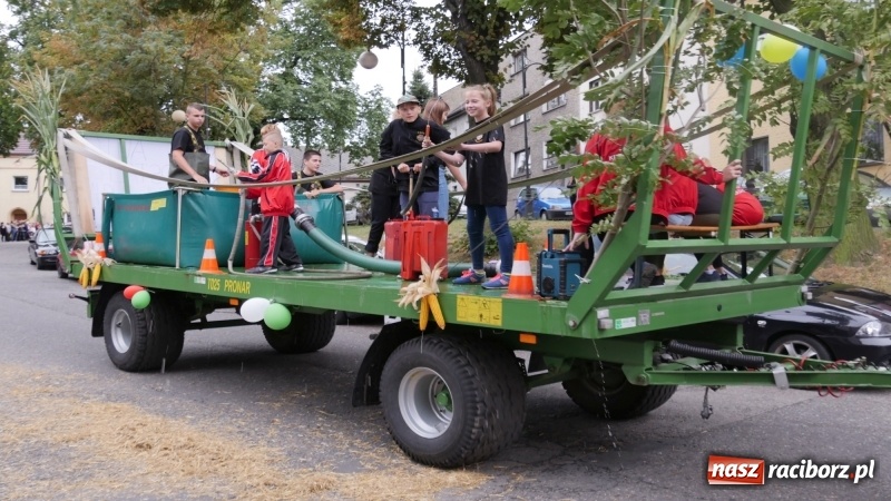 Zdjęcie w galerii na portalu naszraciborz.pl: Najpiękniejsze zagrody dożynkowe w Krzanowicach  wiadomości z regionu