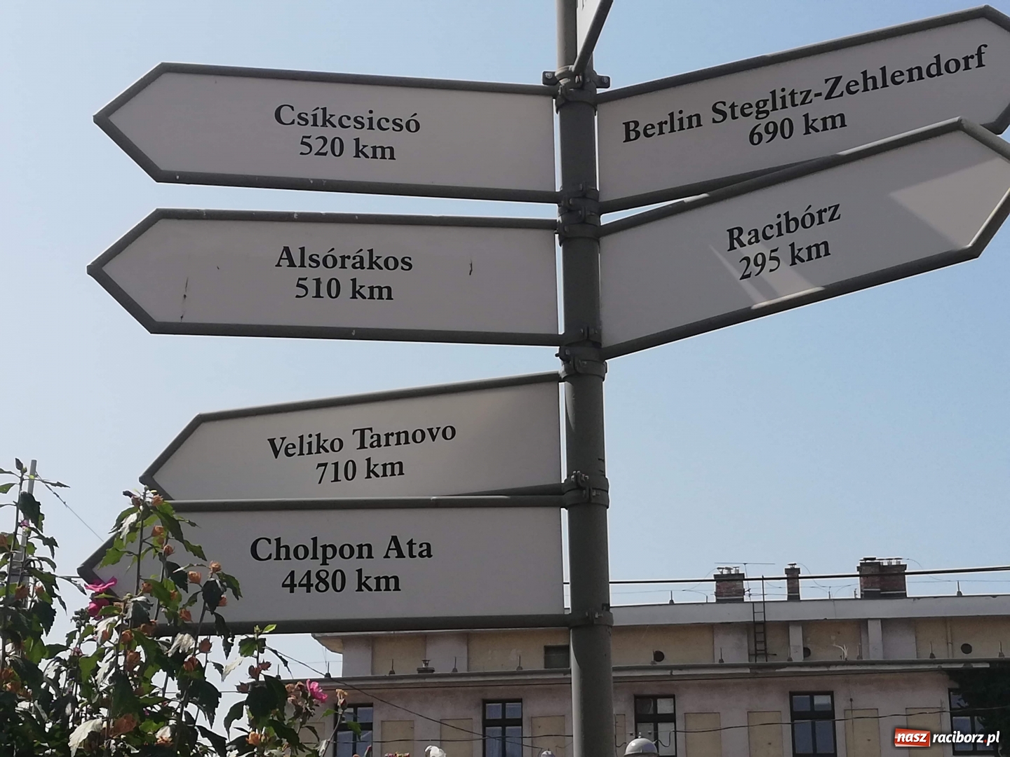 Zdjęcie w galerii na portalu naszraciborz.pl: Uczniowie raciborskich szkół z wizytą u węgierskich przyjaciół wiadomości z regionu