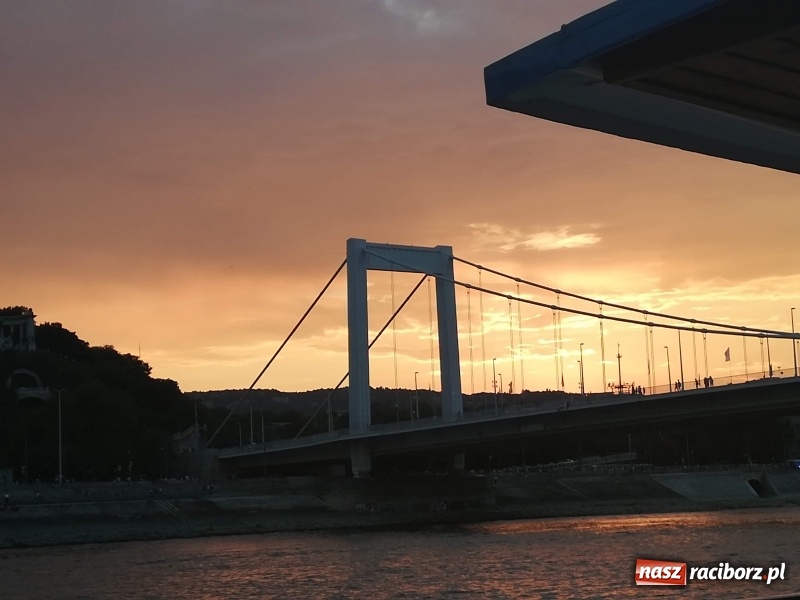 Zdjęcie w galerii na portalu naszraciborz.pl: Uczniowie raciborskich szkół z wizytą u węgierskich przyjaciół wiadomości z regionu