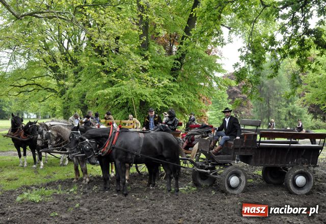 Zdjęcie w galerii na portalu naszraciborz.pl: Konna majówka pod zamkiem wiadomości z regionu