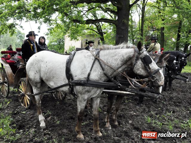 Zdjęcie w galerii na portalu naszraciborz.pl: Konna majówka pod zamkiem wiadomości z regionu