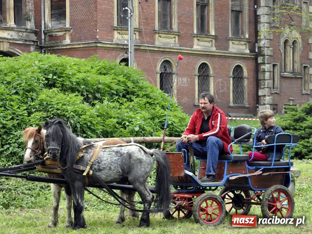Zdjęcie w galerii na portalu naszraciborz.pl: Konna majówka pod zamkiem wiadomości z regionu