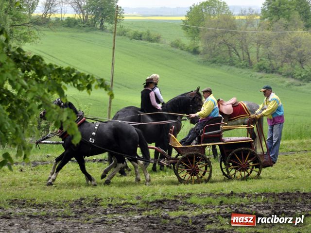 Zdjęcie w galerii na portalu naszraciborz.pl: Konna majówka pod zamkiem wiadomości z regionu