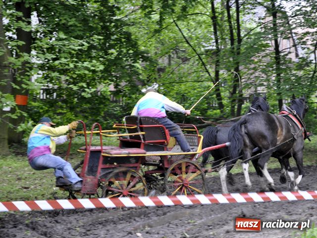 Zdjęcie w galerii na portalu naszraciborz.pl: Konna majówka pod zamkiem wiadomości z regionu