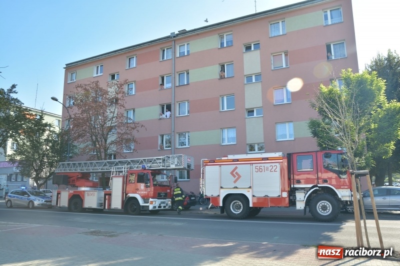 Zdjęcie w galerii na portalu naszraciborz.pl: Alarm przy Ogrodowej. W budynku ulatniał się gaz  wiadomości z regionu