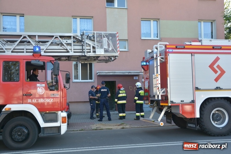 Zdjęcie w galerii na portalu naszraciborz.pl: Alarm przy Ogrodowej. W budynku ulatniał się gaz  wiadomości z regionu