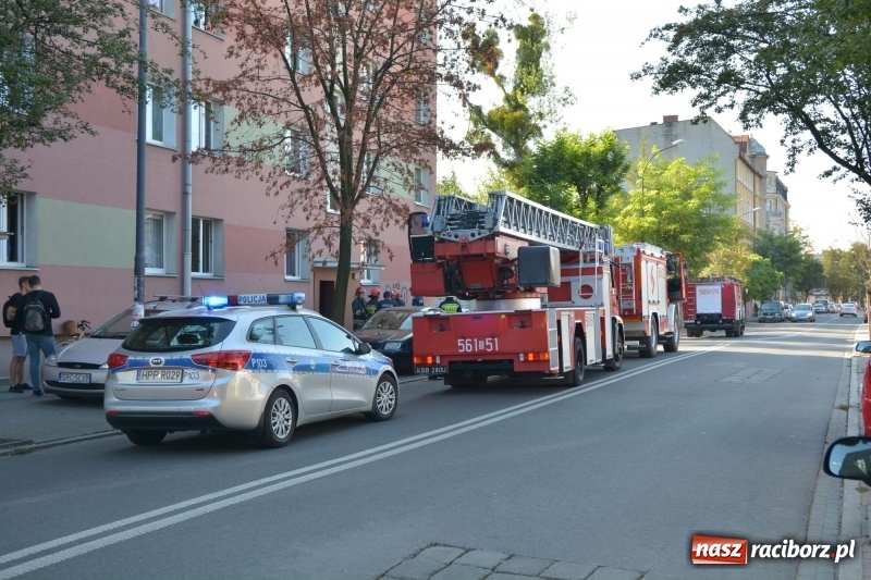 Zdjęcie w galerii na portalu naszraciborz.pl: Alarm przy Ogrodowej. W budynku ulatniał się gaz  wiadomości z regionu