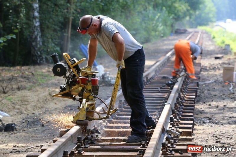 Zdjęcie w galerii na portalu naszraciborz.pl: Kolejką wąskotorową z Rud do Stodół wiadomości z regionu