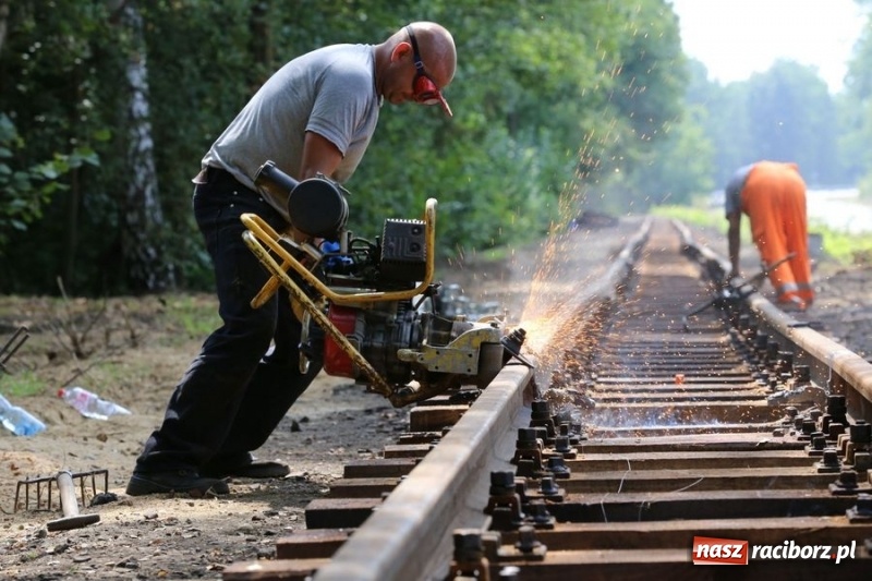 Zdjęcie w galerii na portalu naszraciborz.pl: Kolejką wąskotorową z Rud do Stodół wiadomości z regionu