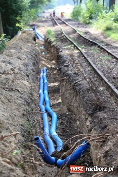 Zdjęcie w galerii na portalu naszraciborz.pl: Kolejką wąskotorową z Rud do Stodół wiadomości z regionu