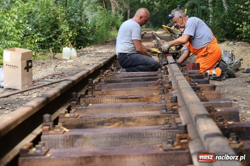 Zdjęcie w galerii na portalu naszraciborz.pl: Kolejką wąskotorową z Rud do Stodół wiadomości z regionu