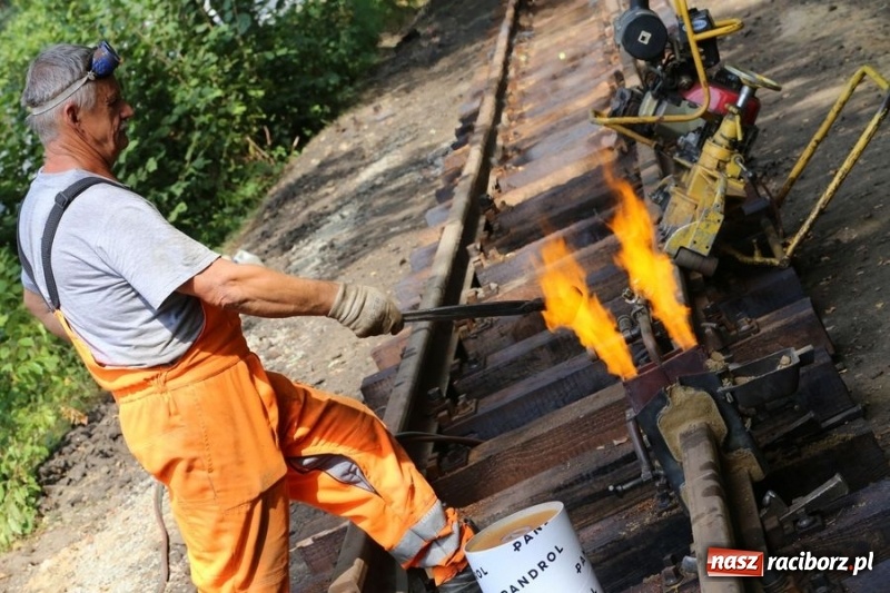 Zdjęcie w galerii na portalu naszraciborz.pl: Kolejką wąskotorową z Rud do Stodół wiadomości z regionu